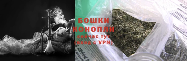 индика Красноперекопск