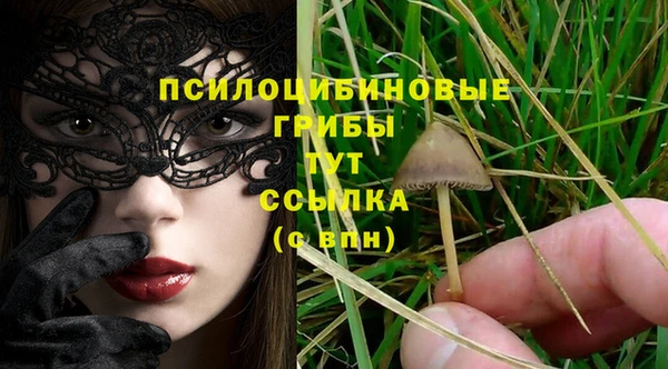 индика Красноперекопск