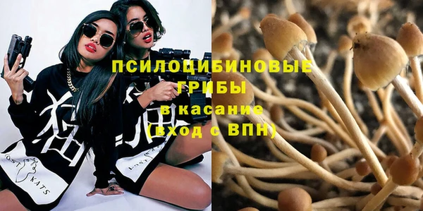 индика Красноперекопск