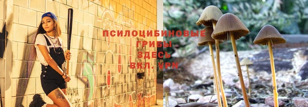 apvp Краснотурьинск