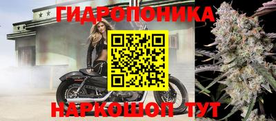 индика Можайск