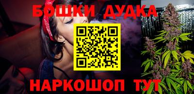 индика Можайск