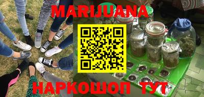 прущие грибы Можга
