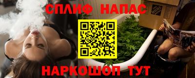 прущие грибы Можга