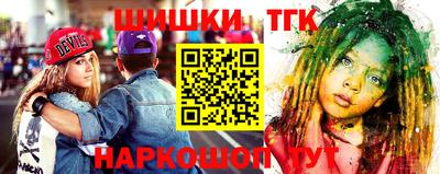 индика Можайск