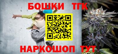 индика Можайск