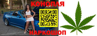 индика Можайск