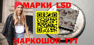 прущие грибы Можга