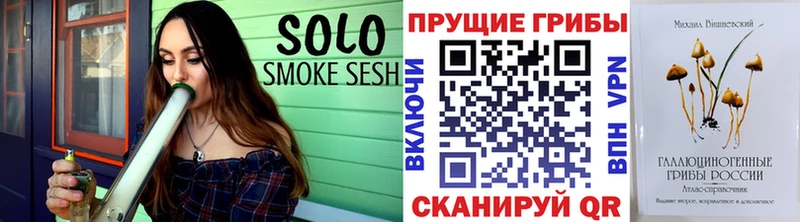 Галлюциногенные грибы прущие грибы  Шебекино 