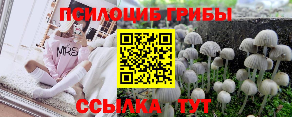Псилоцибиновые грибы ЛСД  Галлюциногенные грибы Magic Shrooms  Вход с VPN  Шебекино 