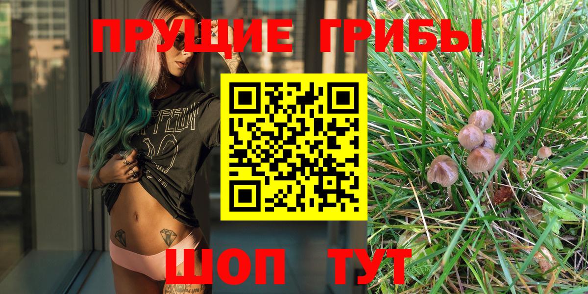 Псилоцибиновые грибы мицелий  Шебекино 